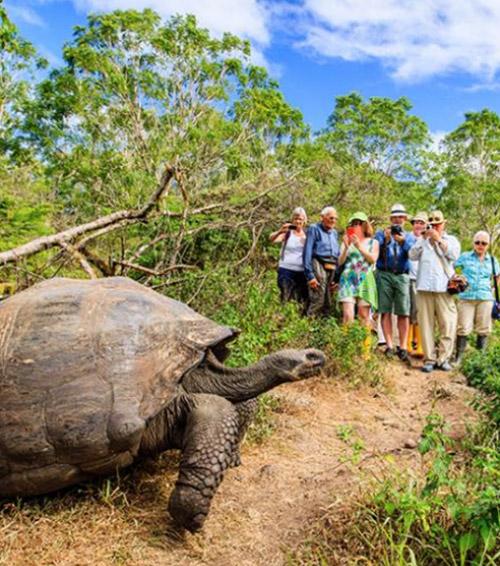Galápagos Discovery Voyage — Island Hopping Experience