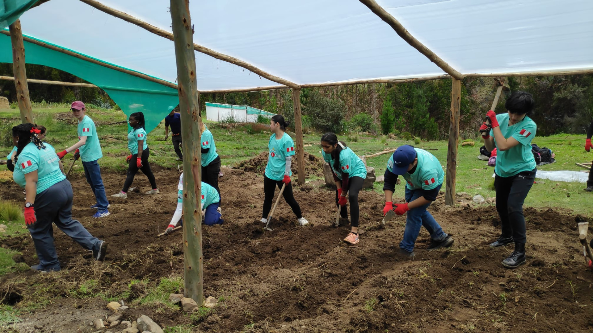 Development Project