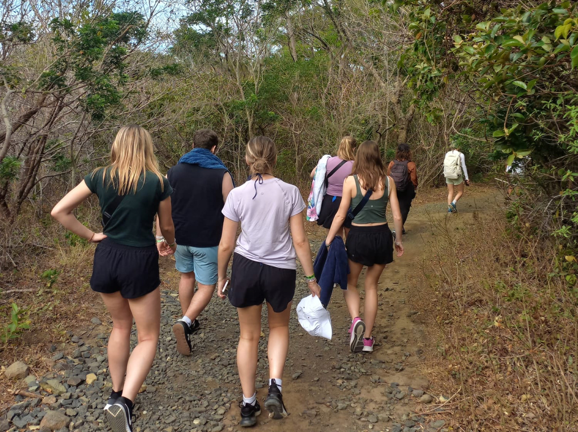 A group of young adults in athletic wear hiking down a rocky, wooded trail under bright sunlight in Guanacaste, Costa Rica