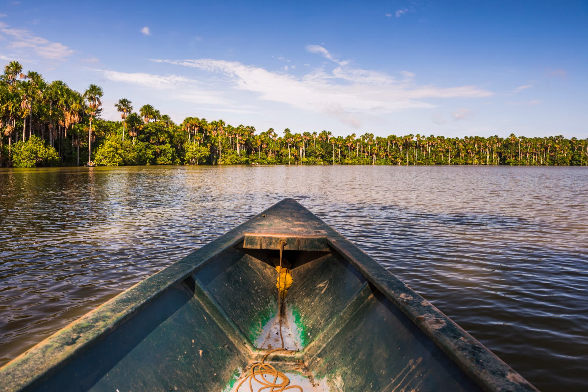Amazonian Wildlife Immersion: Puerto Maldonado