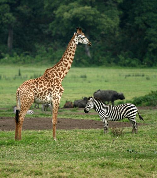 Materuni & Arusha Cultural Immersion